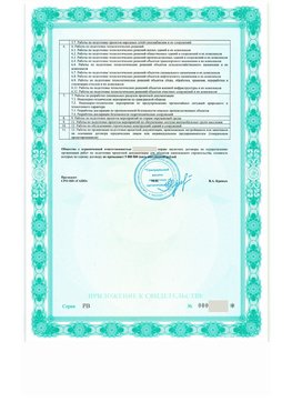 Приложение к свидетельству о допуске к определенному виду или видам работ Новомичуринск СРО в проектировании
